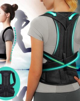 Posture Corrector Belt